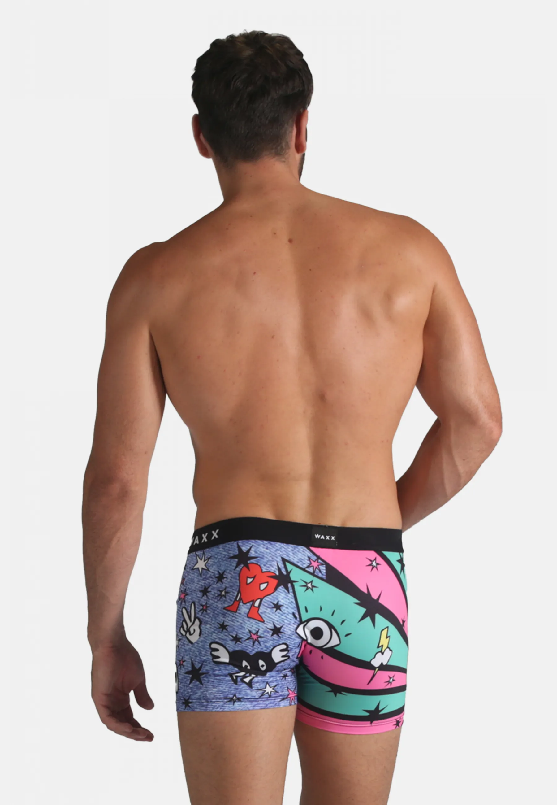 Boxer POP ART